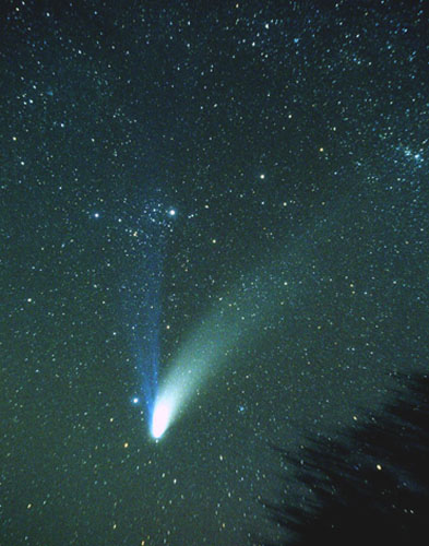 A view of Hale-Bopp amongst the stars of Perseus. Algol and rho Persei are to the left.  * from www.russellc.pwp.blueyonder.co.uk/Comets/halebopp.htm